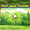 Fruit Ninja Slasher
